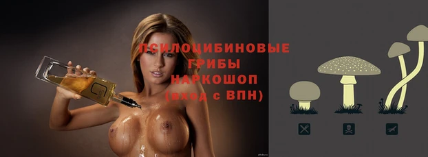 мяу мяу мука Волоколамск