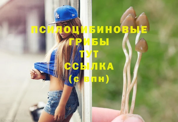 мяу мяу мука Волоколамск