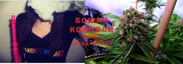 мяу мяу мука Волоколамск
